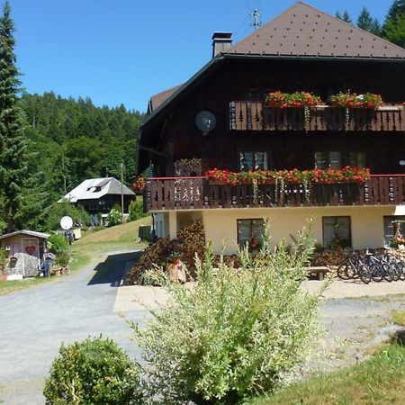 Appartement Haus Biehler à Todtmoos Extérieur photo