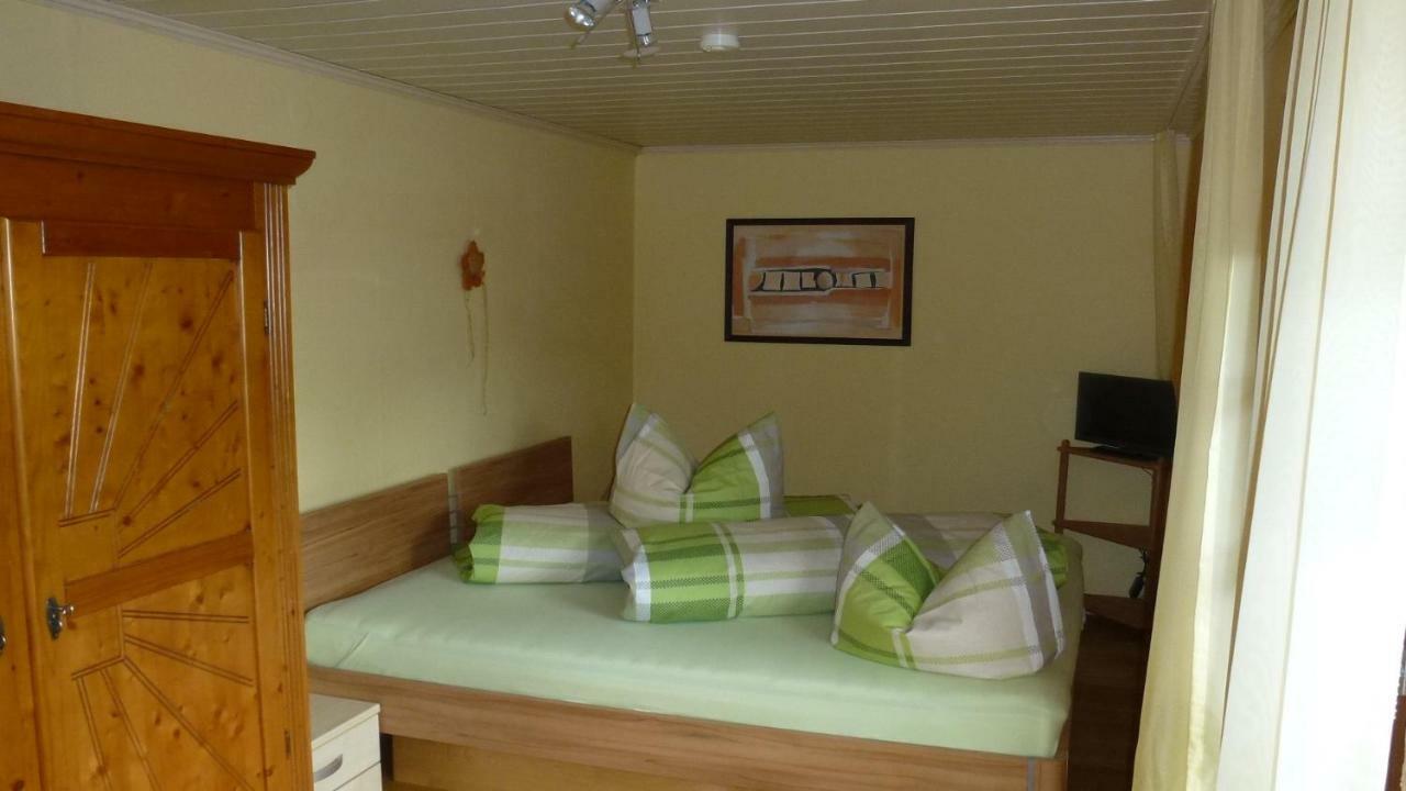 Appartement Haus Biehler à Todtmoos Extérieur photo